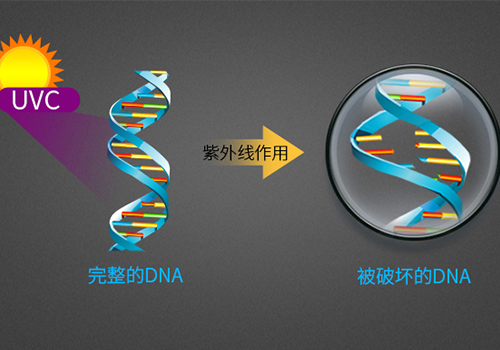 UVC紫外線燈殺菌消毒原理